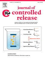 An advanced focused ultrasound protocol improves the blood-brain barrier permeability and doxorubicin delivery into the rat brain – ScienceDirect