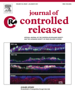 The kinetics of blood brain barrier permeability and targeted doxorubicin delivery into brain induced by focused ultrasound – ScienceDirect
